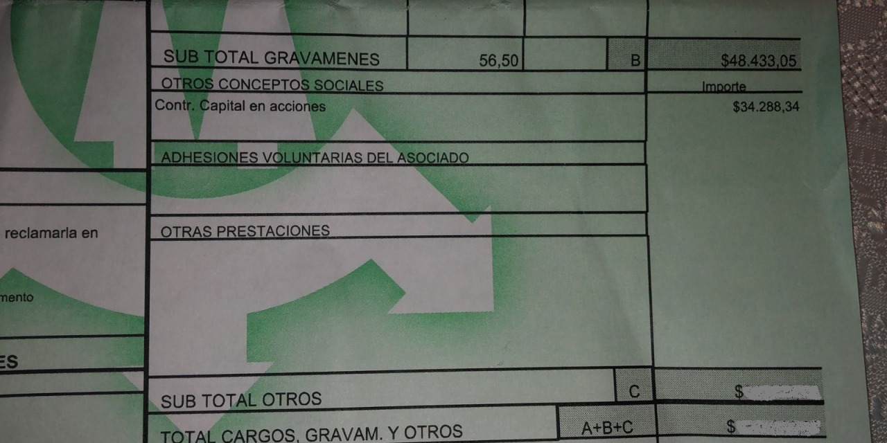 �No corresponde autorizar su inclusi�n�: la respuesta del  Oceba por el cobro de la cuota capital en la factura de luz